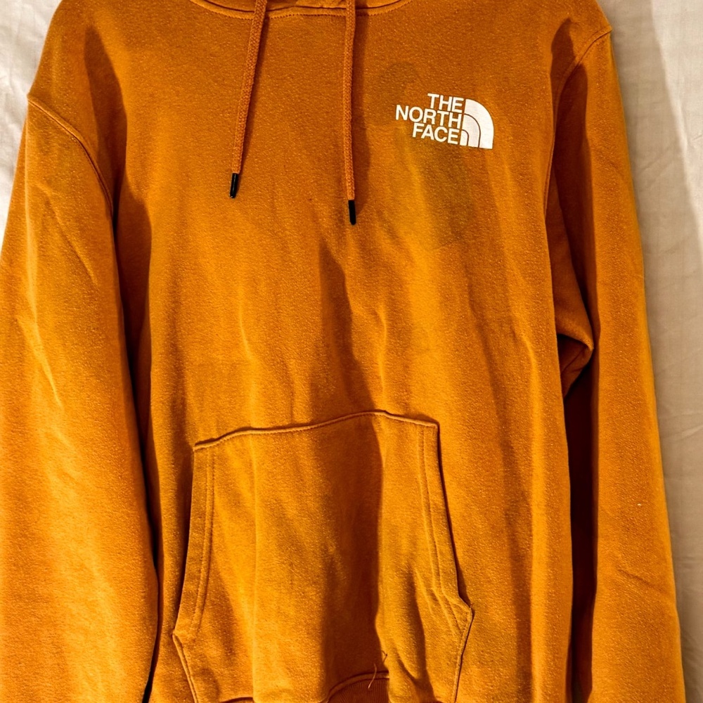THE NORTH FACE HOODIE IN BROWN - Picture 2 of 3